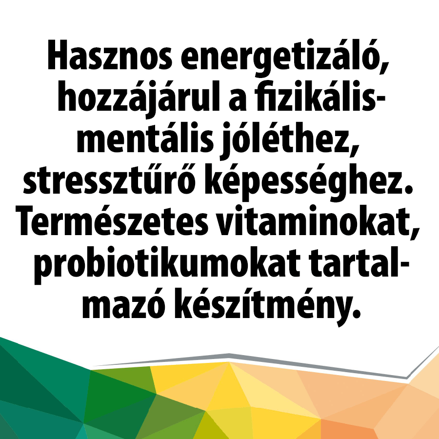 Medium-term Product KSM-66 Ashwagandha + Herbs for Physical and Menthal Balance + Inulin + élőflóra - Image 4