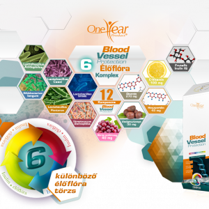 Blood Vessel 365 db (12 komponens) - Image 3