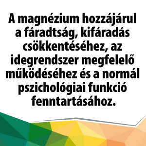 Magnézium biszglicinát 700mg + B6-vitamin - Image 2